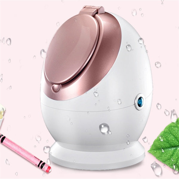 Nano Ionic Facial Steamer.